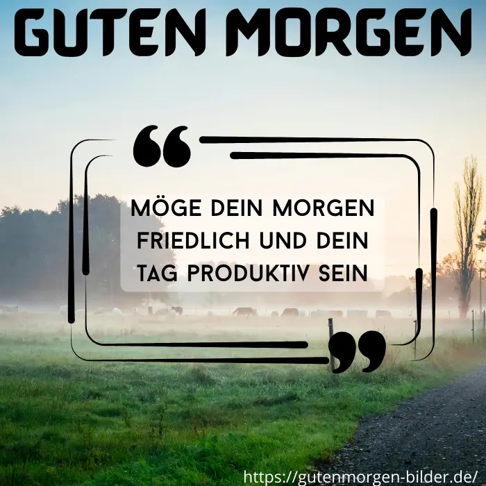 Möge dein Morgen friedlich und dein Tag produktiv sein. Guten Morgen